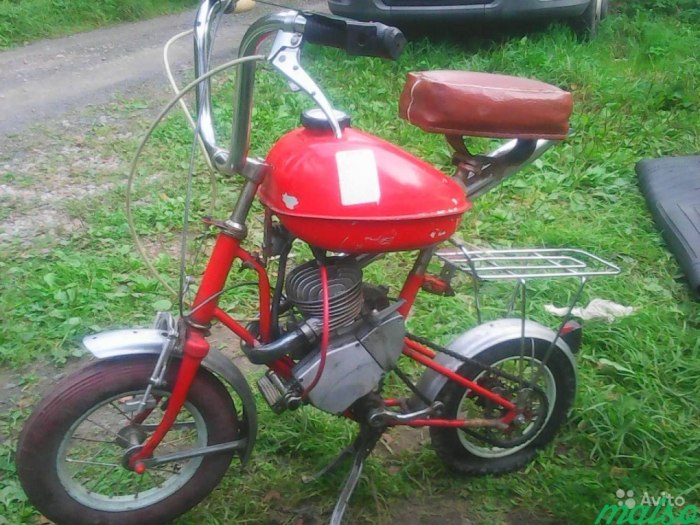 Минимокик ЗИД-36 «Птаха»