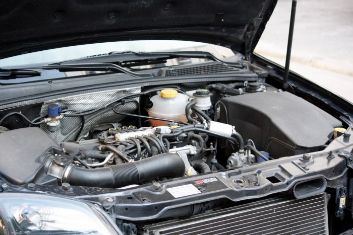 Vectra z02