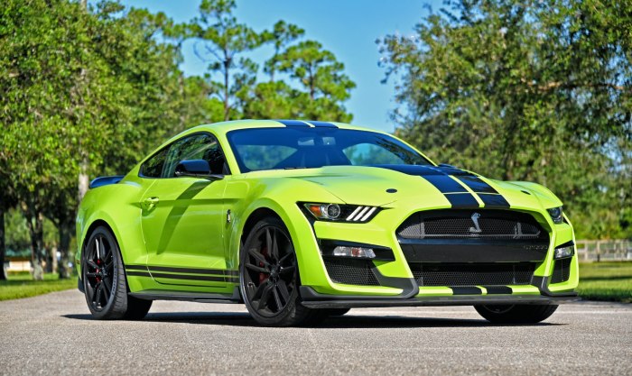 Форд Мустанг Шелби gt 500
