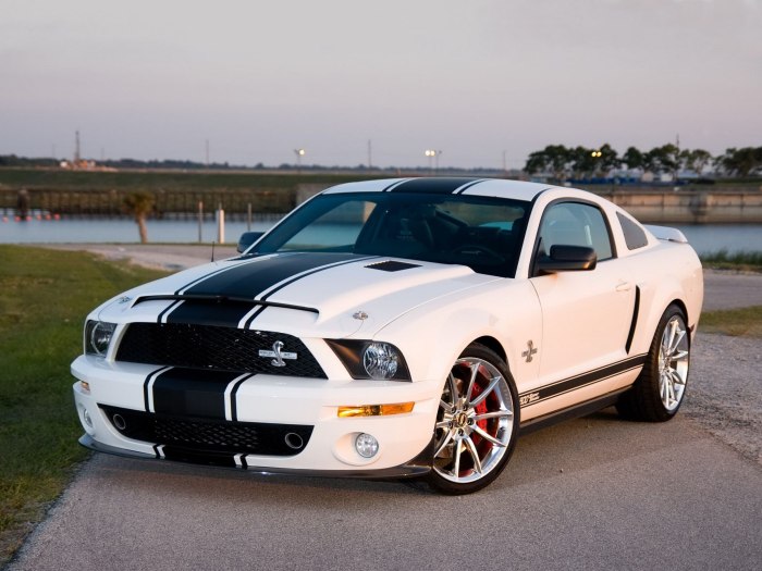 Форт Мустанг Шелби gt500cr