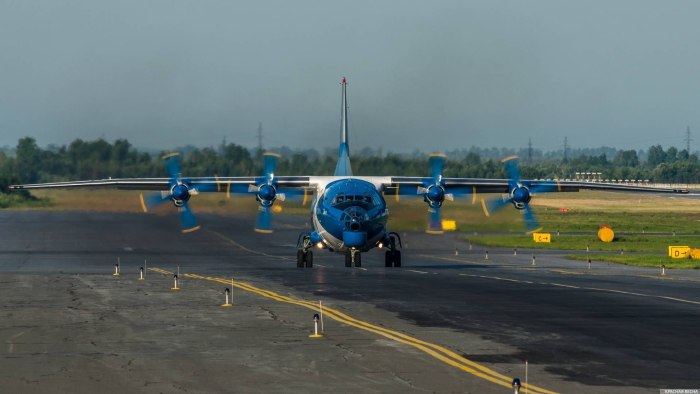 Летающая артиллерия на базе АН-12 С 2 пушками