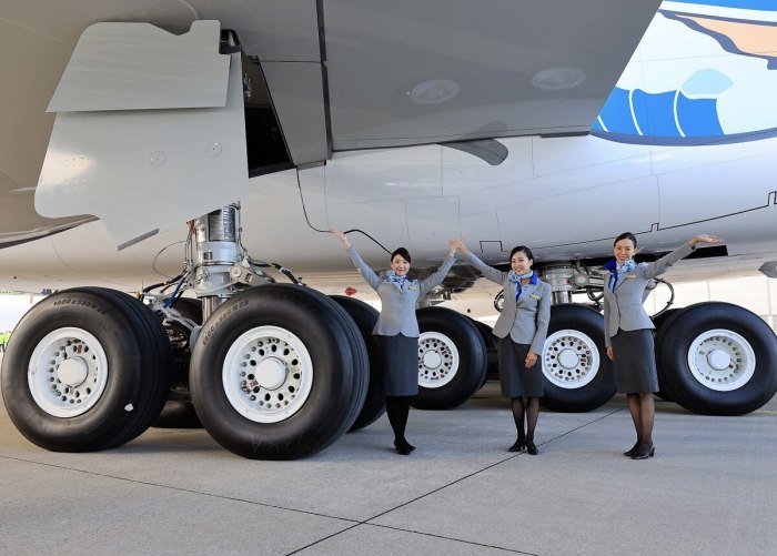 Airbus a380 шасси