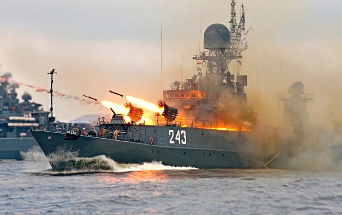 Боевые корабли ВМФ России