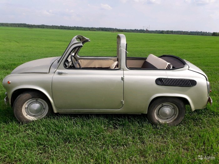 ЗАЗ-965 965а