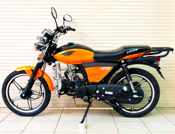 Racer Alpha rc110