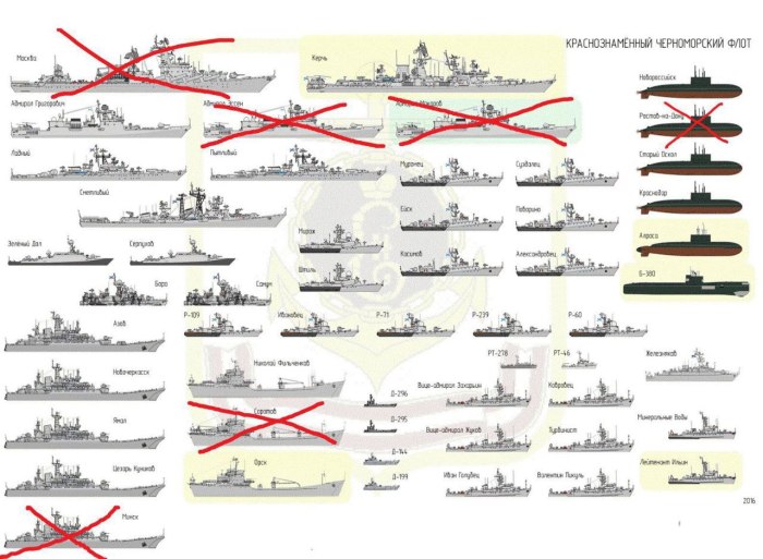 Черноморский флот инфографика