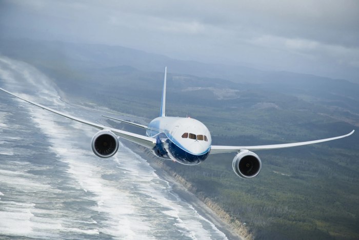 Boeing 787 Dreamliner в небе