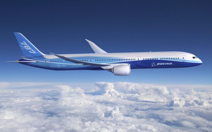 Боинг 737 Дримлайнер