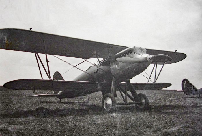 Р-1 самолёт Поликарпова
