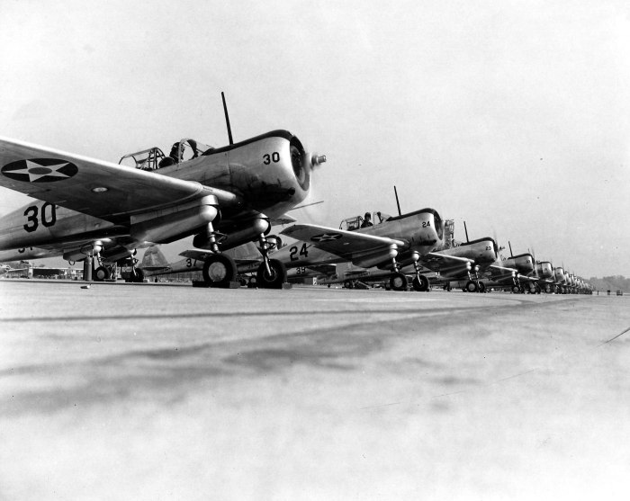 Curtiss CW-22