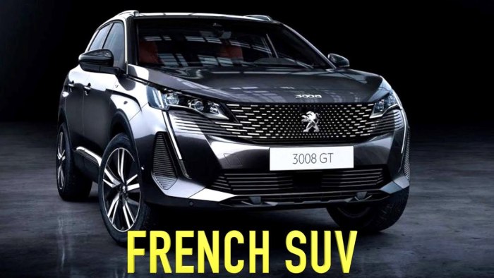Peugeot 2024 PNG