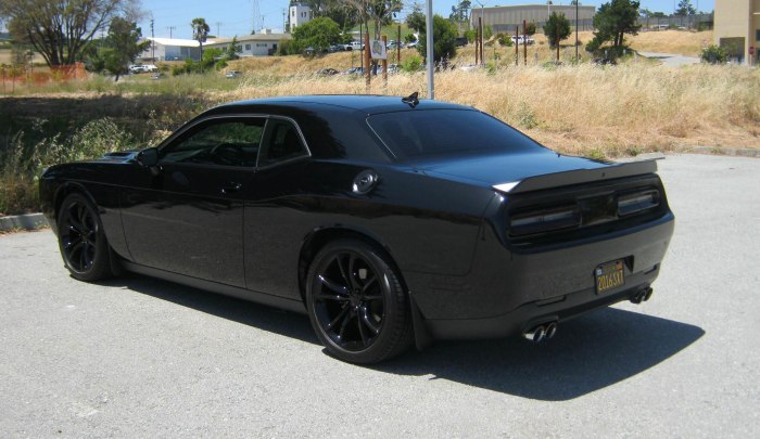 Dodge Challenger Black Matte