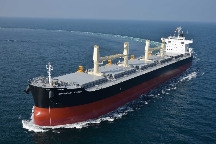 Балкер Panamax