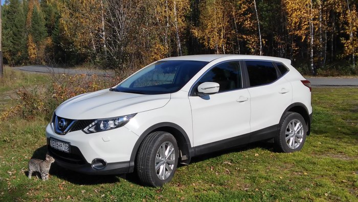 Nissan Qashqai 2 j11