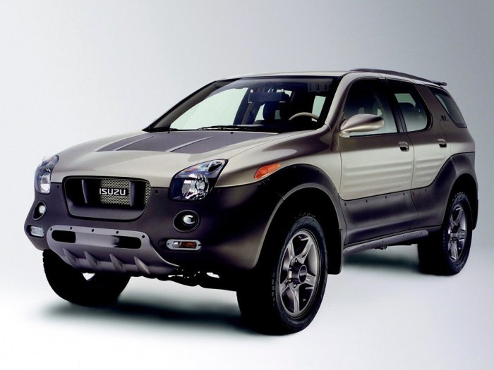 Isuzu VEHICROSS 2000