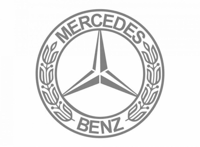 Mercedes-Benz логотип Актрос