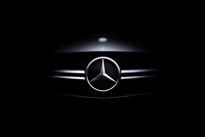Mercedes Benz logo w163