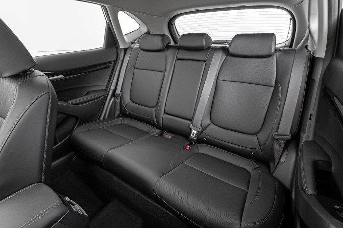 Kia Seltos 2022 сзади