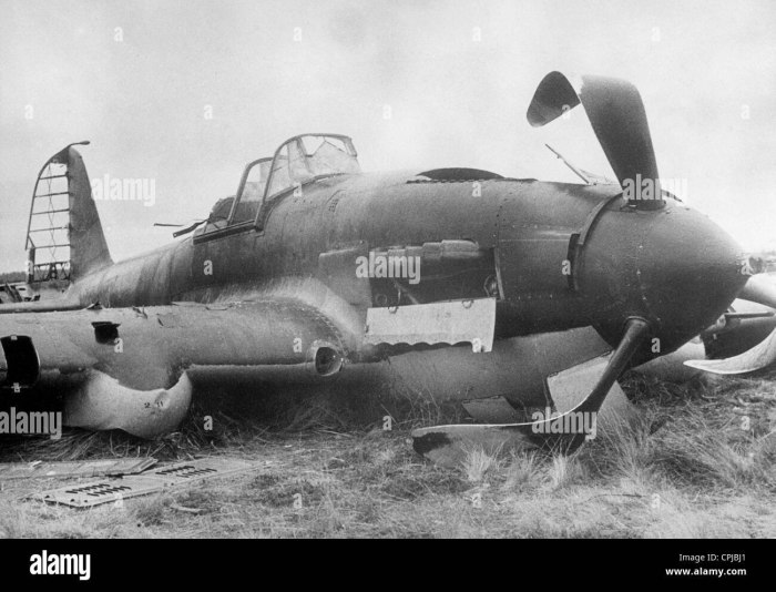 Ил-2 1943