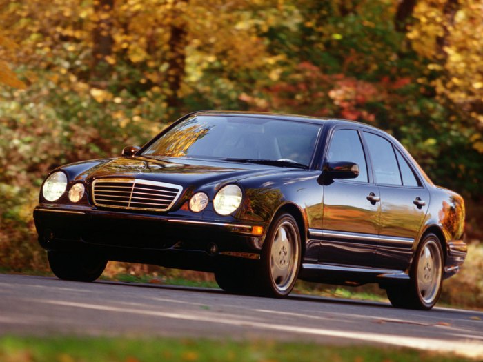 Mercedes Benz 210