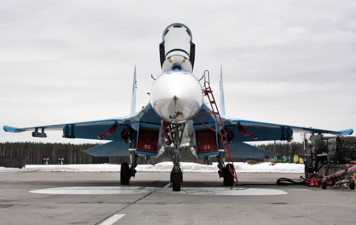 Су 27 спарка
