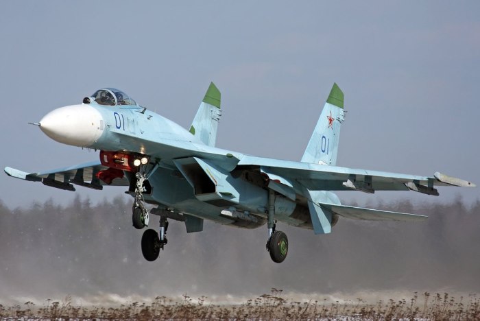Су-27 ВВС России