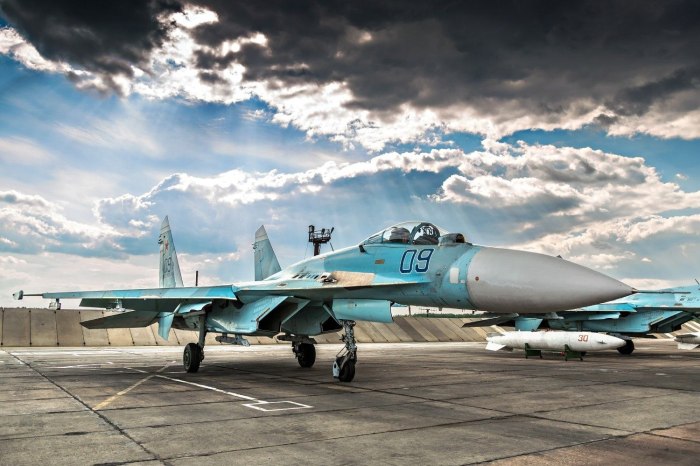 Су-27 ВВС России