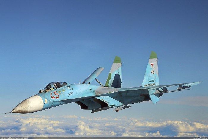 Су-27 ВВС России