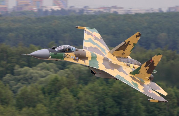Су-37 борт 711