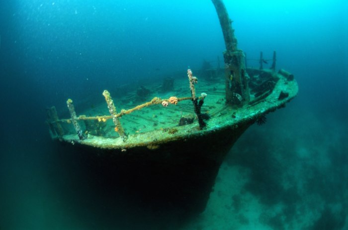 Саргассово море кладбище кораблей