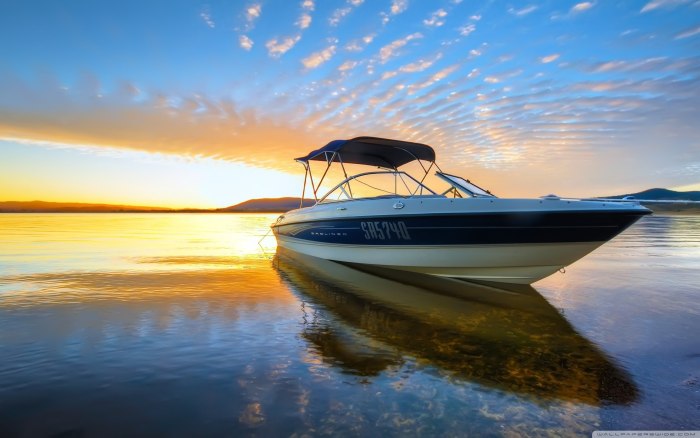 Лодка Bayliner