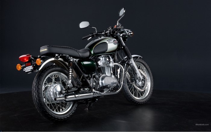 Кавасаки Классик w800