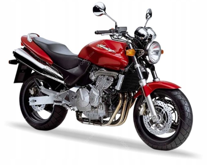 Honda CB 600 Hornet