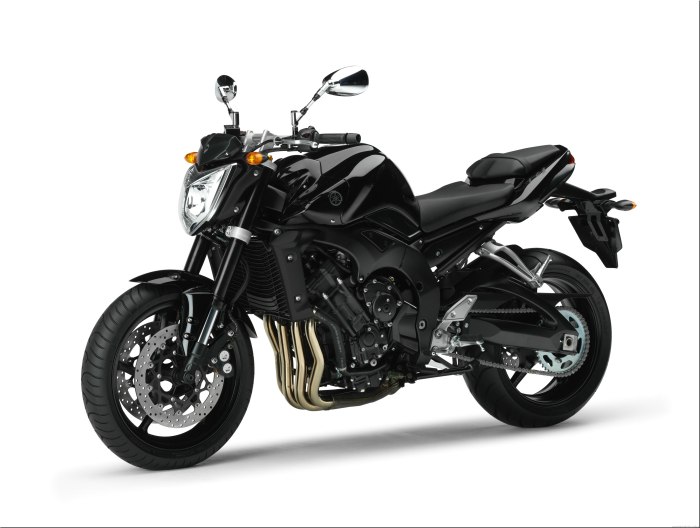 Yamaha fz1 fazer