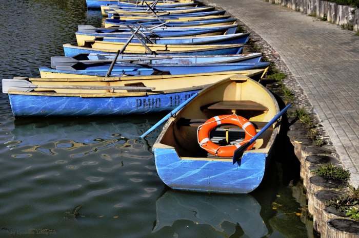 Лодочки Весельные на воде