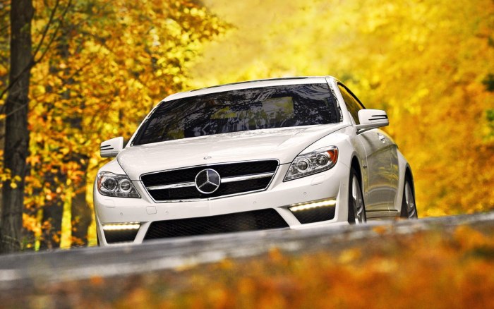 Mercedes-Benz c219