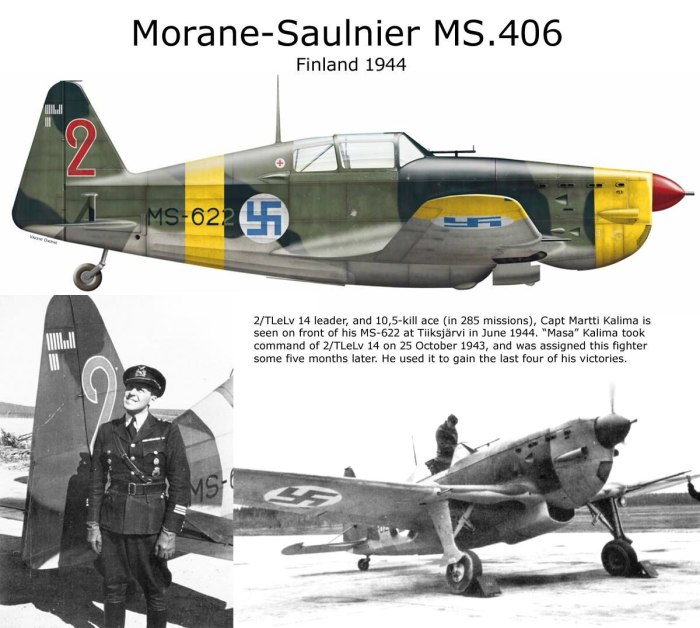 Истребитель Моран-Солнье MS.406