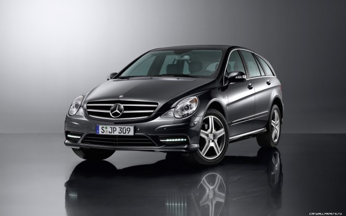 Mercedes-Benz w251