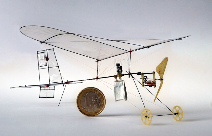 Micro RC plane