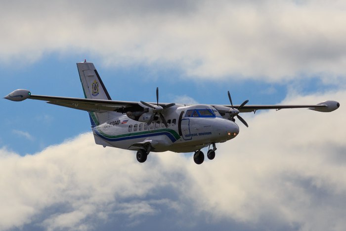 Л-410 самолет