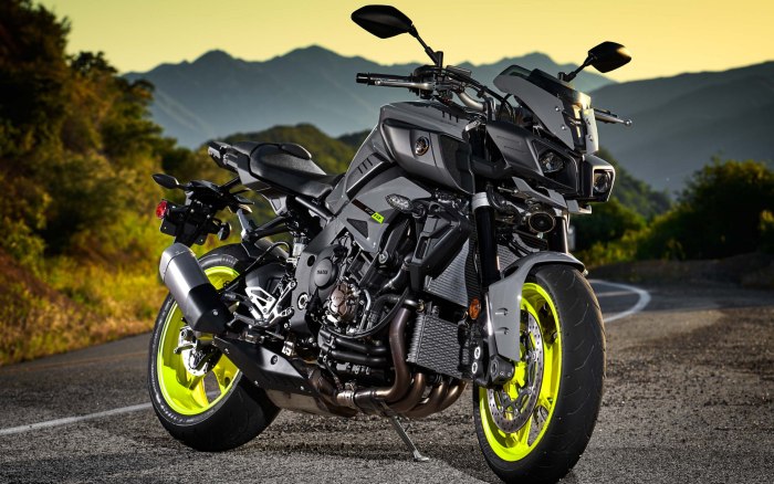 Kawasaki MT 10