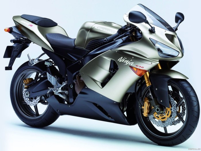 Kawasaki Ninja ZX-6r