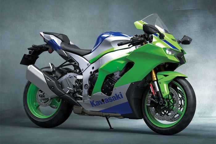 Kawasaki Ninja 400 2020 клетка