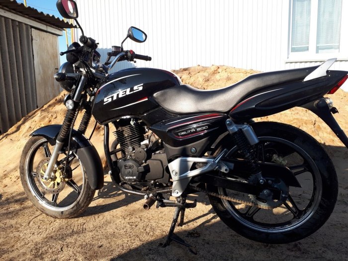 Stels Delta 200