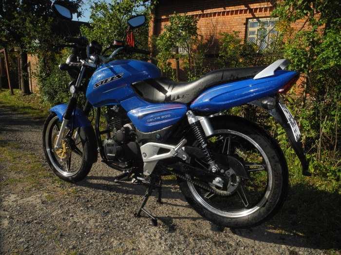 Мотоцикл стелс Дельта 250