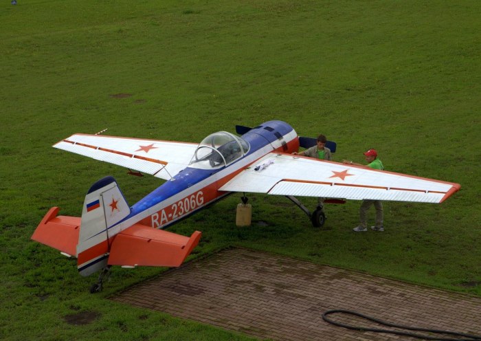 Yak 55