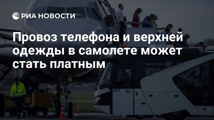Аэрофлот переноска для животных в багажном отсеке