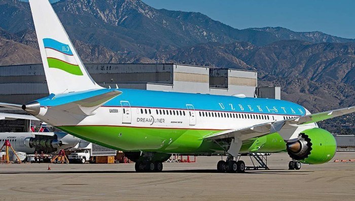 Boeing 787-800 узбекские авиалинии