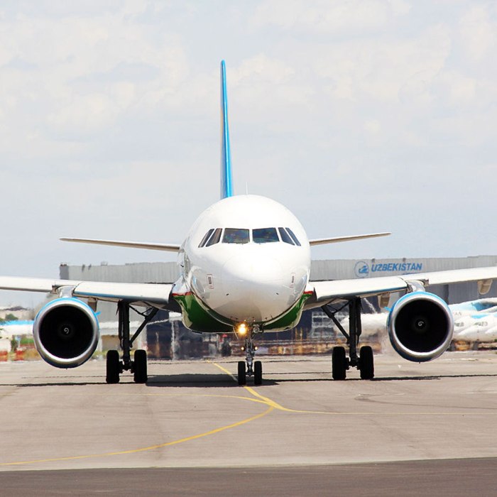 Airbus a320 Uzbekistan Airways салон