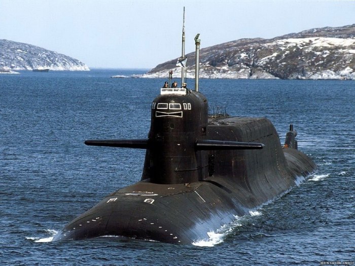 Подводная лодка Дельфин 667
